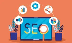 SEO Packages vs. Custom SEO Plans: Which is Best for Your Business?