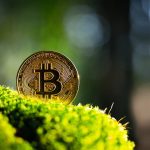 Earn crypto by completing tasks